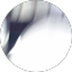 Profile photo of Kristy P.