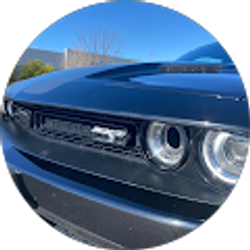 Profile photo of Sandra Gonzalez