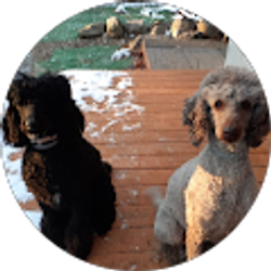 Profile photo of Chris Bankey