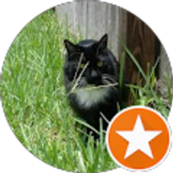 Profile photo of justagirlandhercat