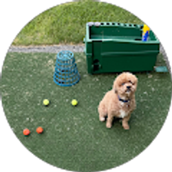 Profile photo of Kyle Horn