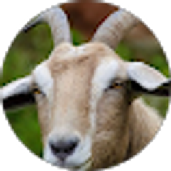 Profile photo of THE J.R.