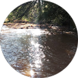 Profile photo of Rebekah Arnold