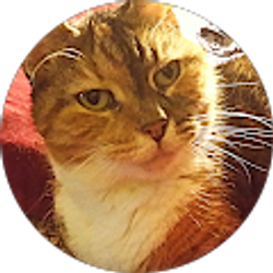 Profile photo of Alan Crumpler