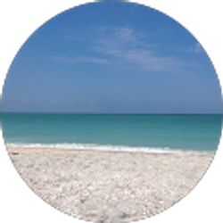 Profile photo of Christine Martinello