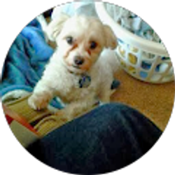 Profile photo of Travis Mills