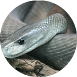 Profile photo of Joshua Prevost
