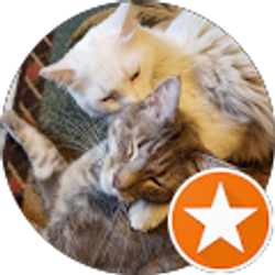 Profile photo of Jeanne McCabe