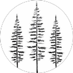 Profile photo of Sam Bragg