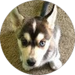 Profile photo of Amanda Kuhn