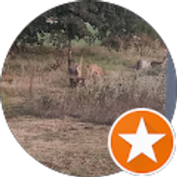 Profile photo of Antonia Burpo