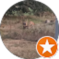 Profile photo of Antonia Burpo