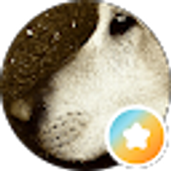 Profile photo of Swifty