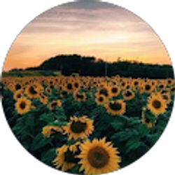 Profile photo of Sierra Barker