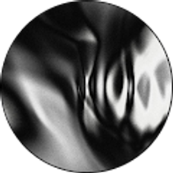 Profile photo of Victoria Alcala