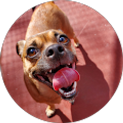 Profile photo of Jason Hart