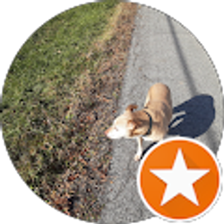 Profile photo of Dan Templeton