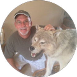 Profile photo of Dave garcia