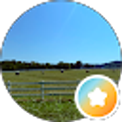 Profile photo of KK CIRCLE