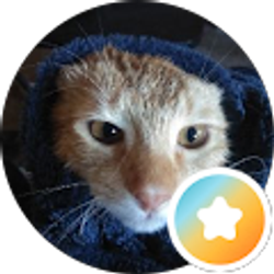 Profile photo of Ashley Chapman