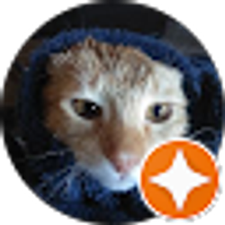 Profile photo of Ashley Chapman