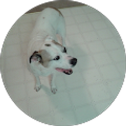 Profile photo of Vickey Giasson