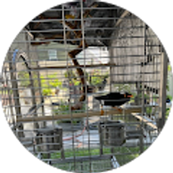 Profile photo of Uni Tim