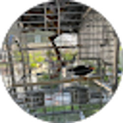 Profile photo of Uni Tim