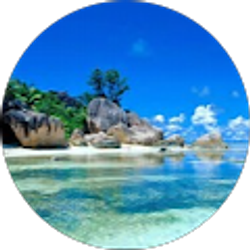 Profile photo of debbie penasso