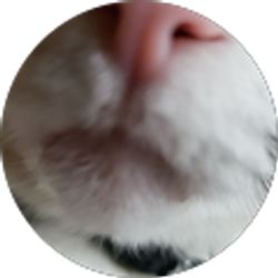 Profile photo of Jonathan Wilson