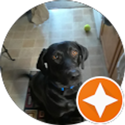 Profile photo of Anthony Doran