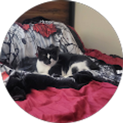 Profile photo of Jeremy McCraw