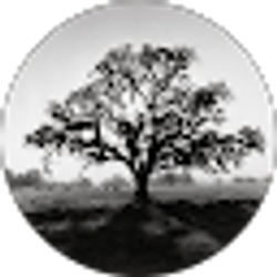 Profile photo of Kristin Vargas