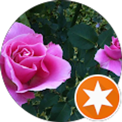 Profile photo of J K