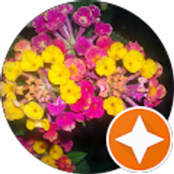 Profile photo of Carrie Keahey