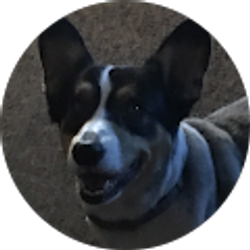 Profile photo of Walter Parker