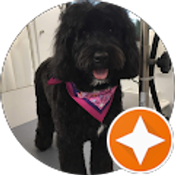 Profile photo of Denise Cappellano