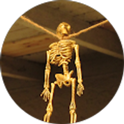 Profile photo of lilli apasta