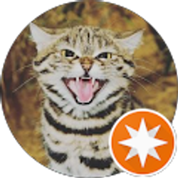 Profile photo of Liz Love