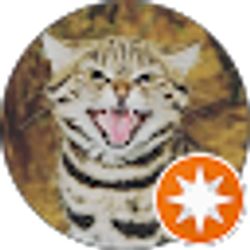 Profile photo of Liz Love