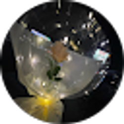 Profile photo of Ari _