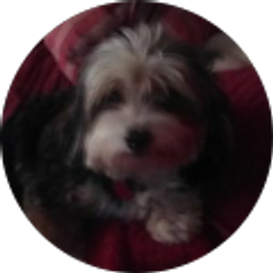 Profile photo of Susie Andrews