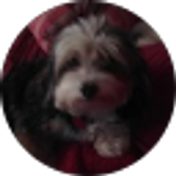 Profile photo of Susie Andrews