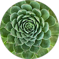 Profile photo of Daniela Carolina Rodriguez