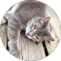 Profile photo of Vanessa Henderson