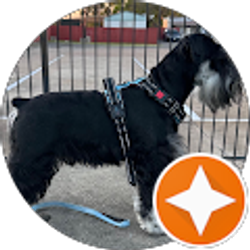 Profile photo of Felicia Hensel