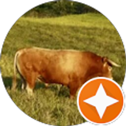 Profile photo of Diego Var