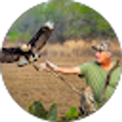 Profile photo of Randall Patterson
