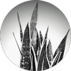 Profile photo of Happy Nonsense