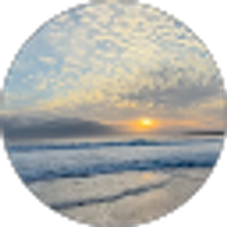 Profile photo of Michele Bono